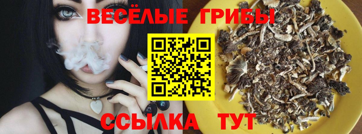 Псилоцибиновые грибы мицелий Фурманов