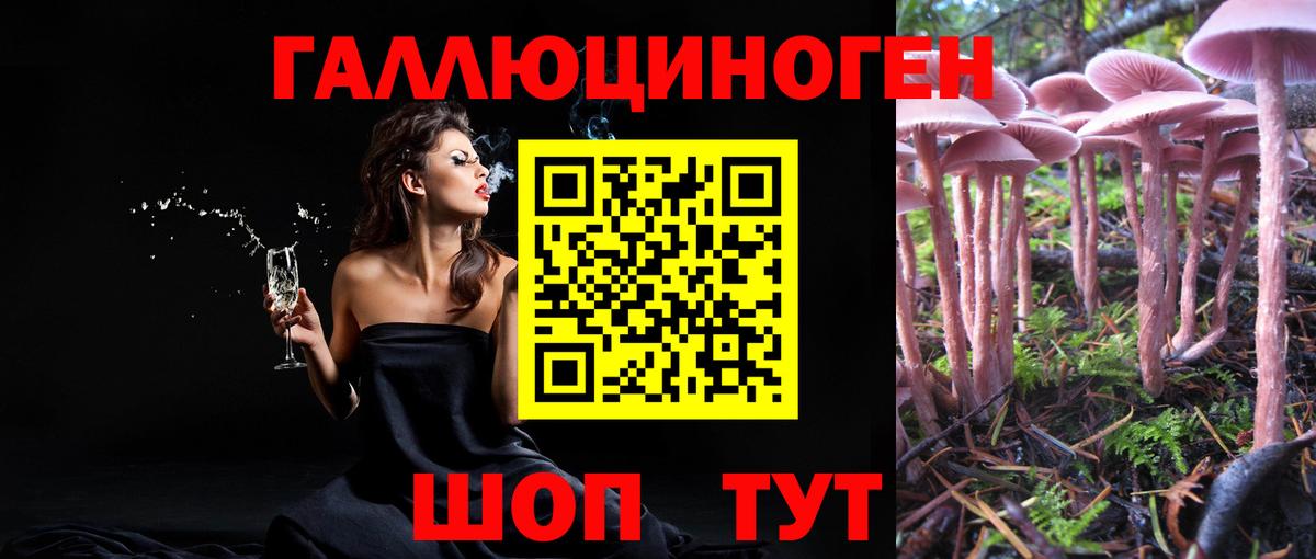 Фурманов  Галлюциногенные грибы GOLDEN TEACHER  Вход с VPN 
